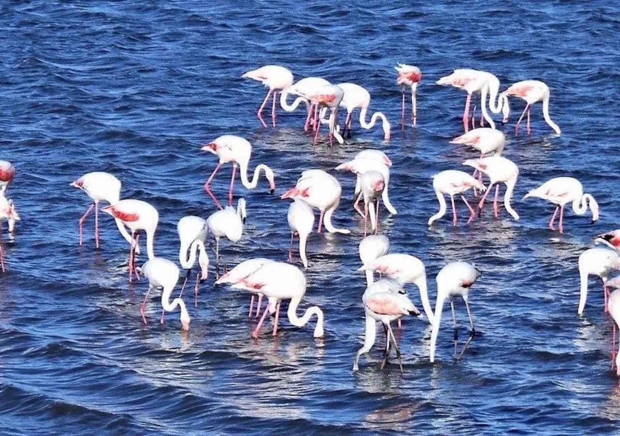 Paradise Found, Paradise Beach, ג'פריס ביי מראה חיצוני תמונה